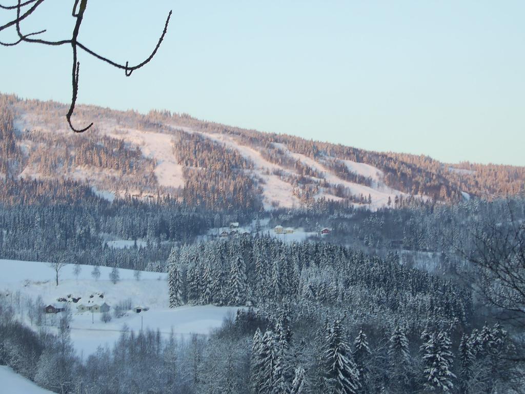 Sogn Gjestegard Svarstad  الغرفة الصورة